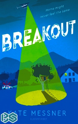 Breakout Book Summary